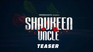 Shaukeen Uncle