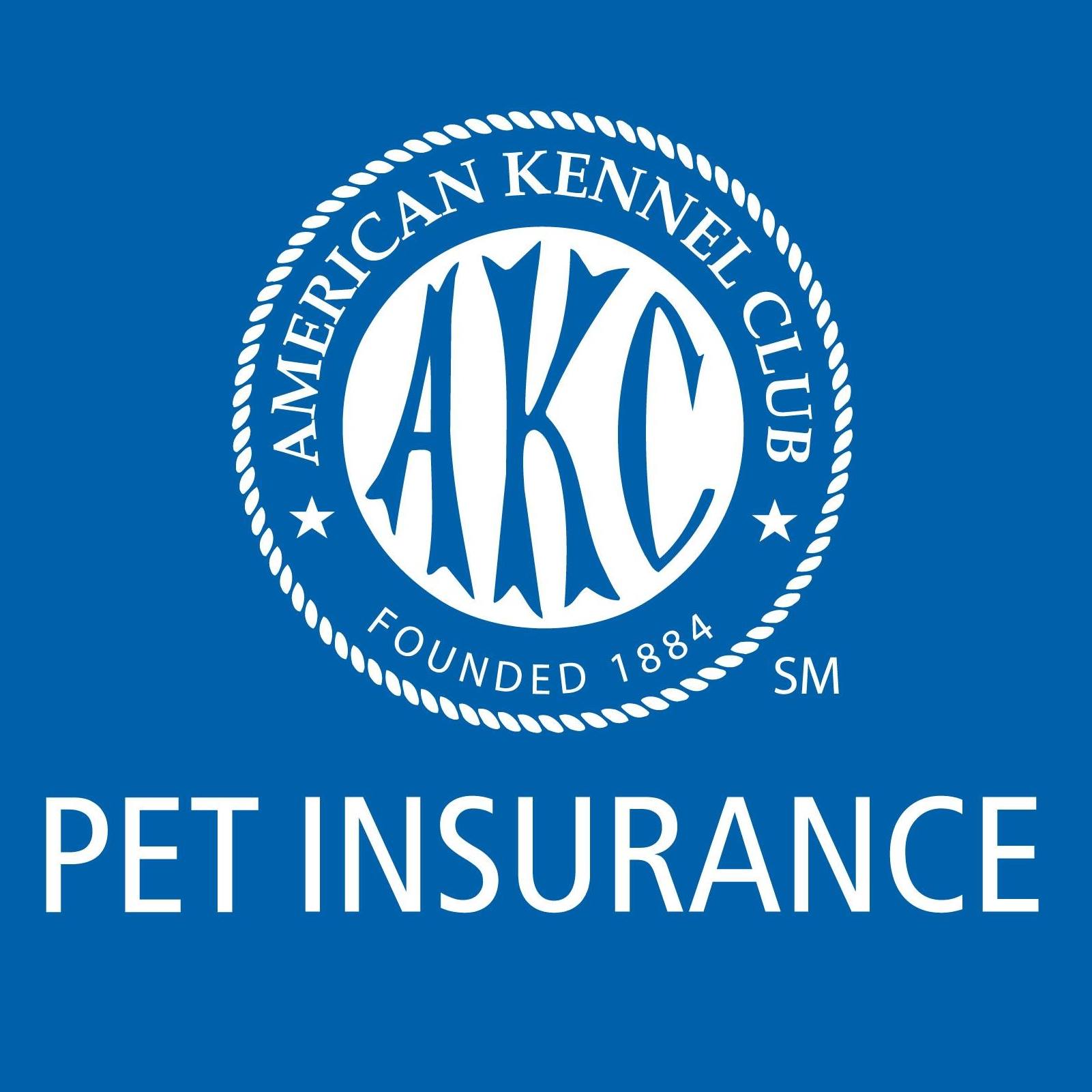 AKC Pet Insurance | Compare Plans & Prices