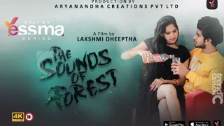 The Sound of Forest