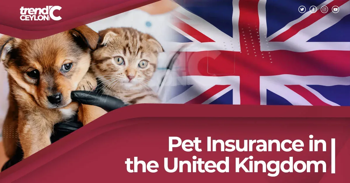 Pet Insurance in the United Kingdom