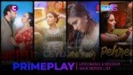 Primeplay-Web-Series