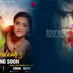 Pehredaar Season 3 Web Series